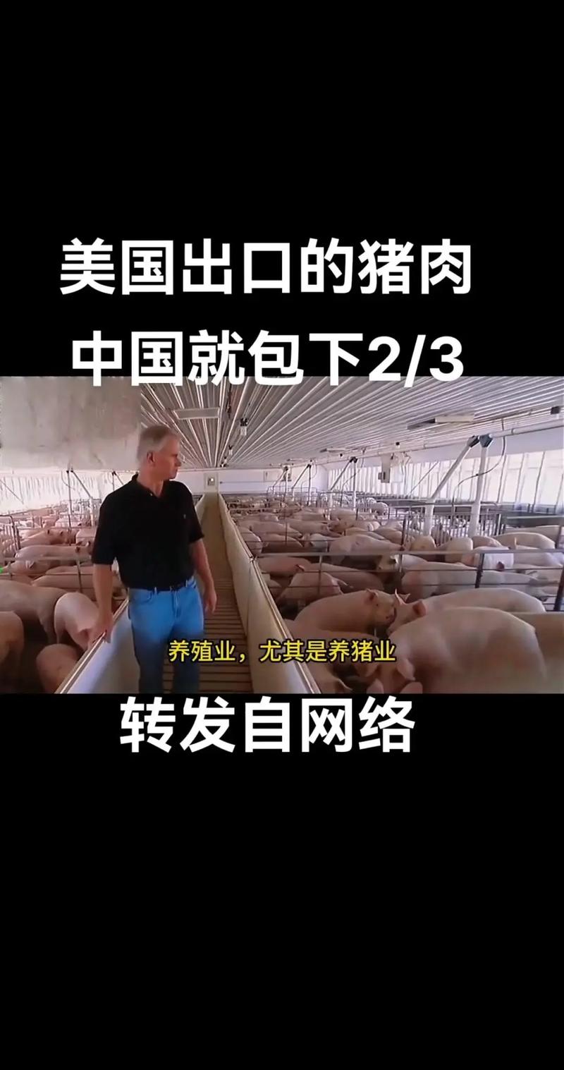 国外发酵饲料养猪技术有何优势?-图2 国外发酵饲料养猪技术有何优势?-图2