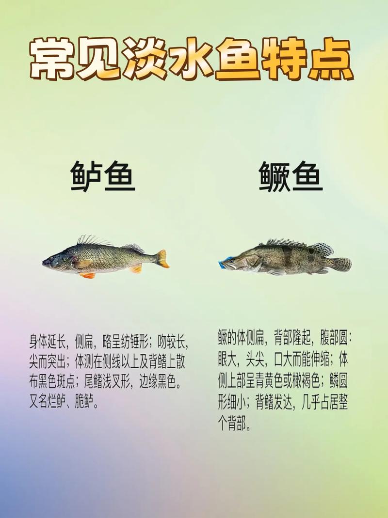 为何水产品种类如此繁多?-图3 为何水产品种类如此繁多?-图3