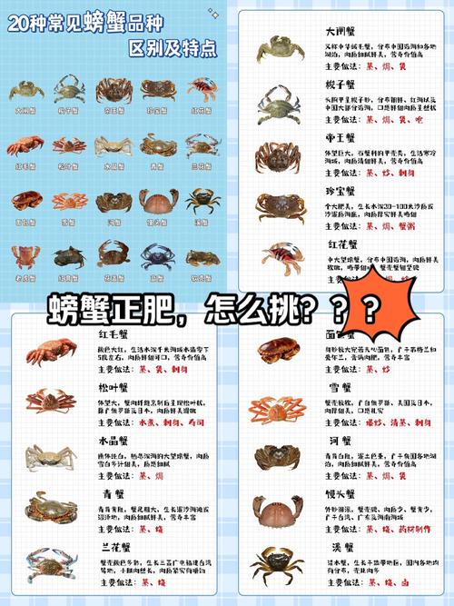 为何水产品种类如此繁多?-图2 为何水产品种类如此繁多?-图2