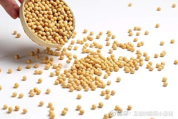 2025年大豆进口价格会涨还是跌？-图1