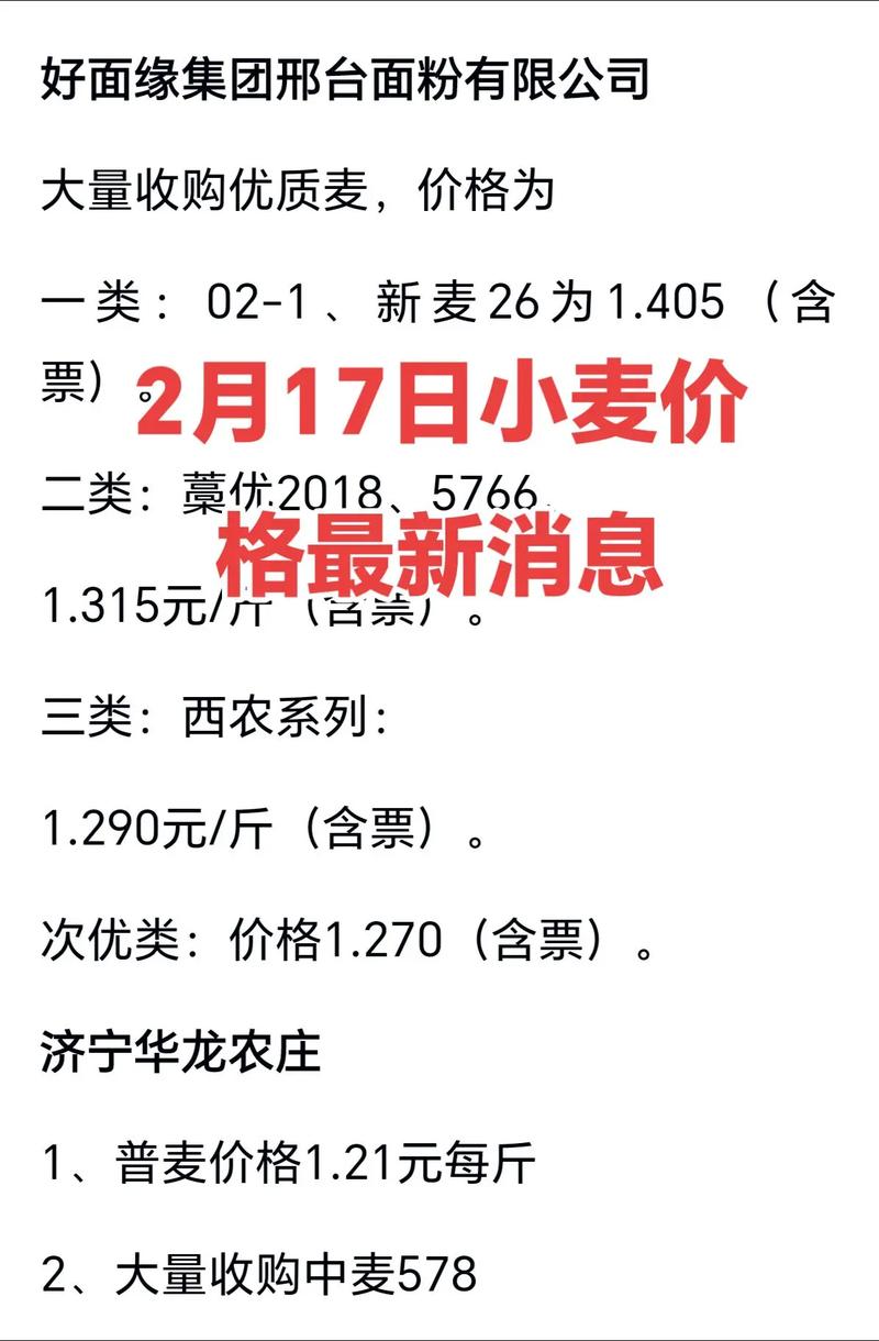 2025江苏新小麦价格-图2