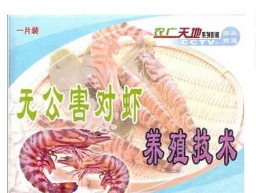 淡水虾视频养殖技术如何高效掌握?-图3 淡水虾视频养殖技术如何高效掌握?-图3