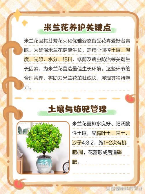 草花养护技术有哪些关键要点?-图3 草花养护技术有哪些关键要点?-图3