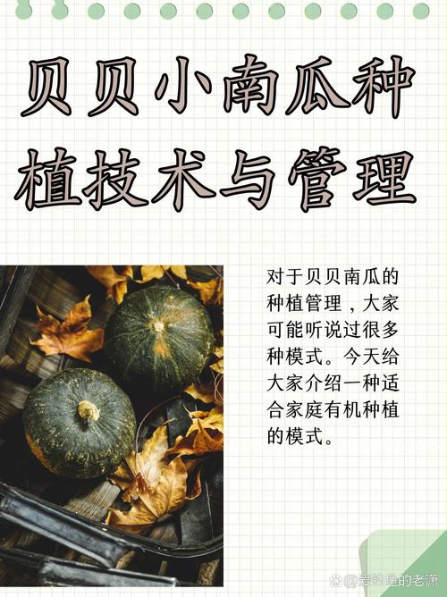 南瓜种植技术肥水管理-图2 南瓜种植技术肥水管理-图2