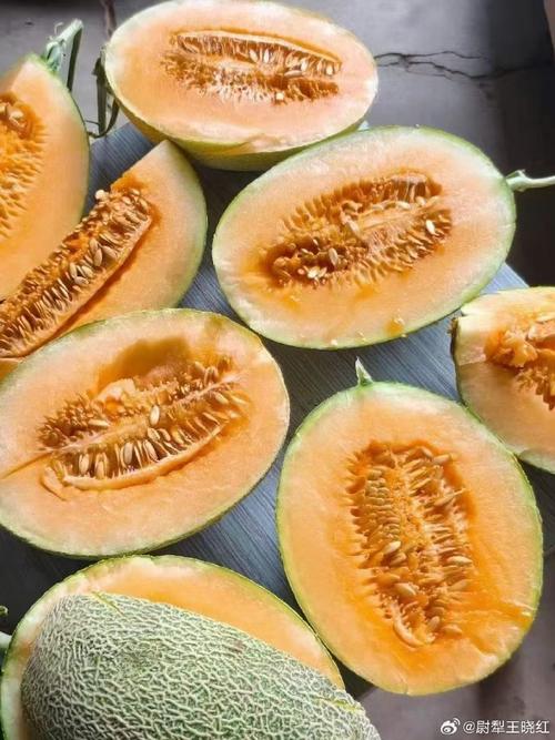 西州蜜哈密瓜有何独特品种特性?-图1 西州蜜哈密瓜有何独特品种特性?-图1