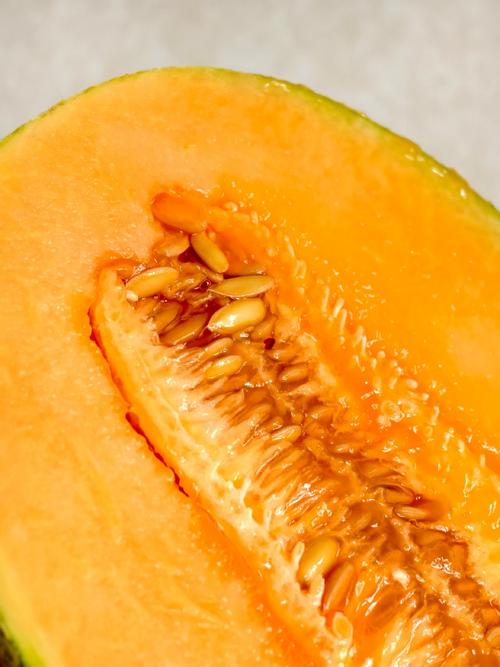 西州蜜哈密瓜有何独特品种特性?-图3 西州蜜哈密瓜有何独特品种特性?-图3