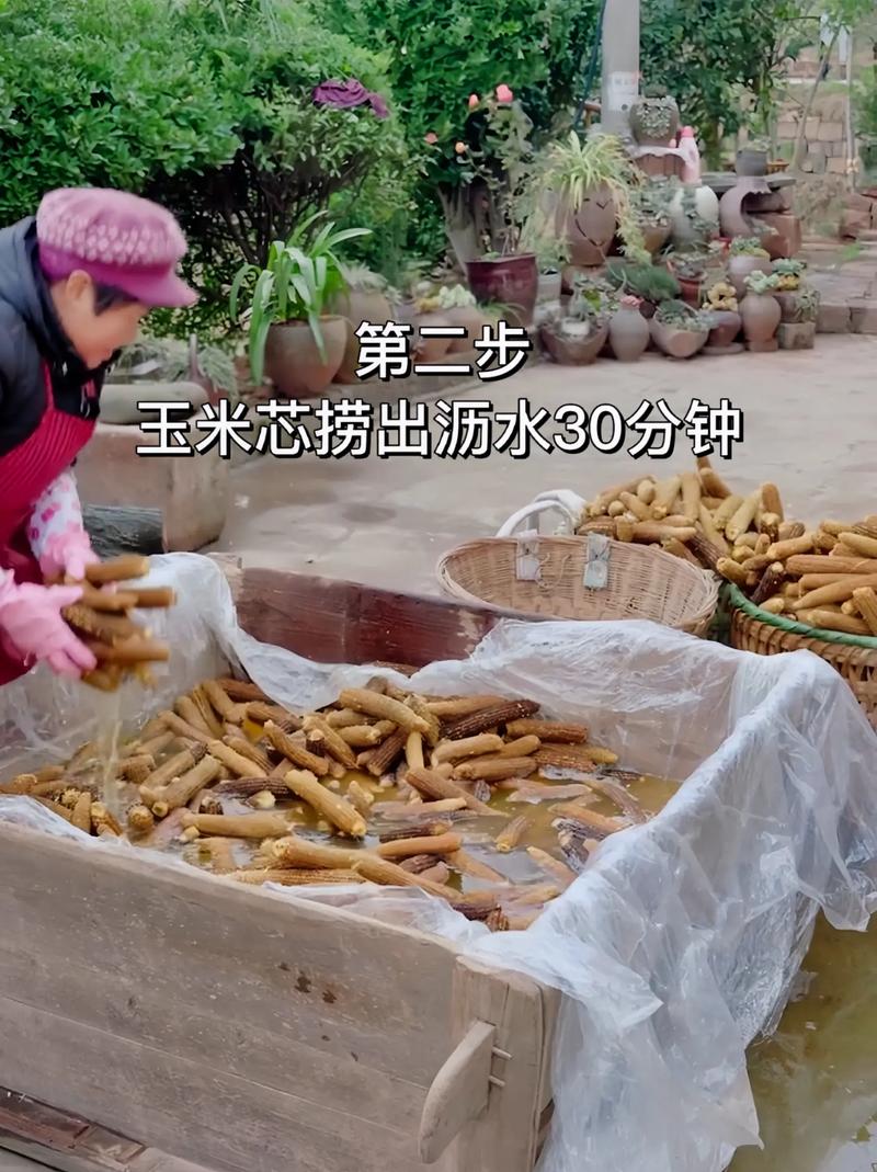 家庭蘑菇栽培视频，技术难点与避坑指南？-图1