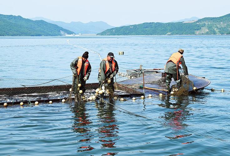 100亩水库养鱼,技术要点有哪些?-图2 100亩水库养鱼,技术要点有哪些?-图2
