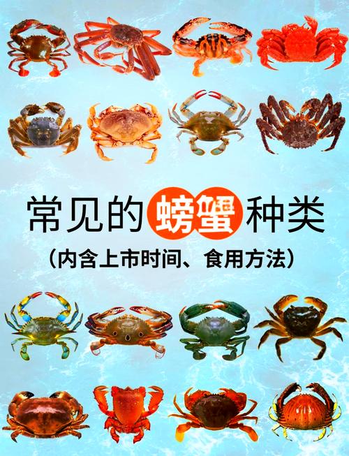 青蟹对虾蛏子混养，如何实现效益最大化？-图2