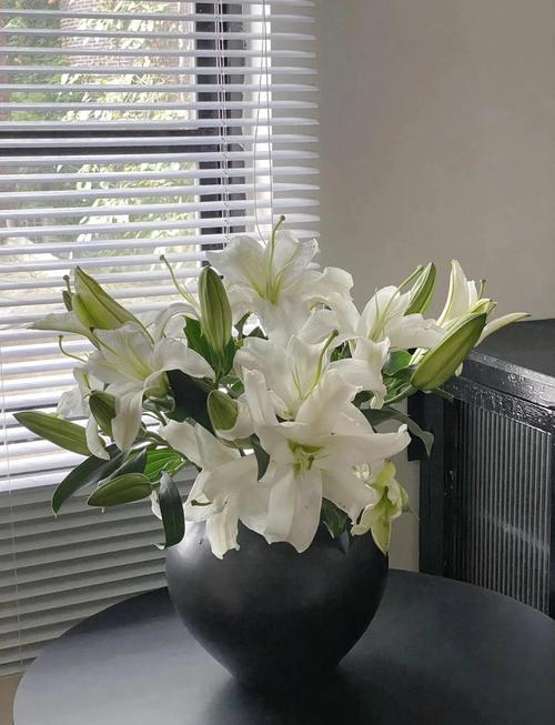 香水百合哪个品种最香?-图1 香水百合哪个品种最香?-图1