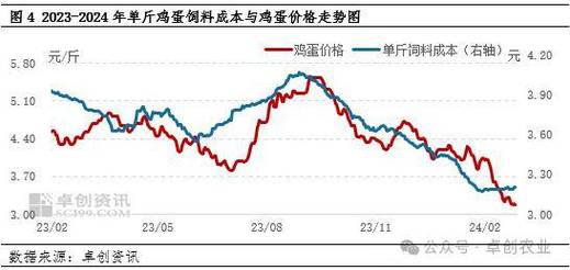 哈尔滨鸡蛋价格最新走势如何？-图3
