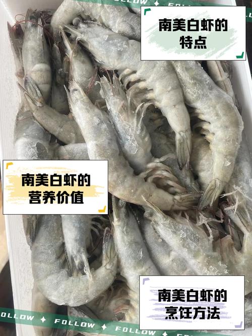 南美白虾只是品种?有何独特之处?-图1 南美白虾只是品种?有何独特之处?-图1