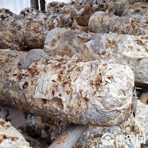 2025废弃香菇棒价格会涨还是跌?-图1 2025废弃香菇棒价格会涨还是跌?-图1