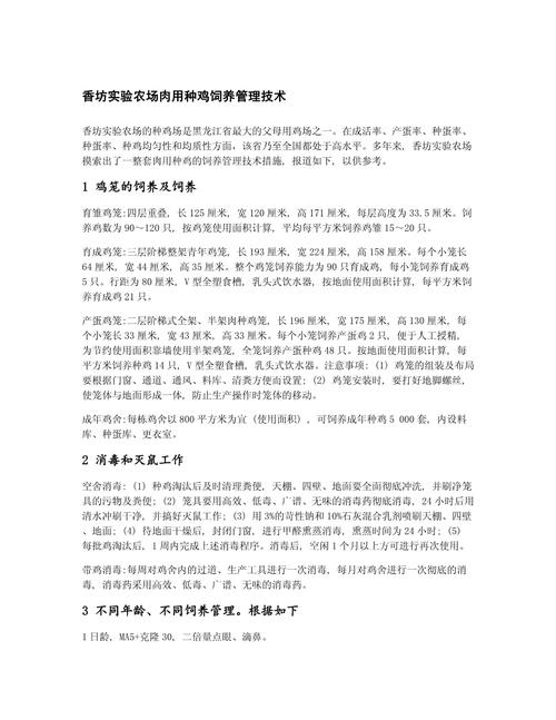 育雏鸡的饲养管理技术-图2