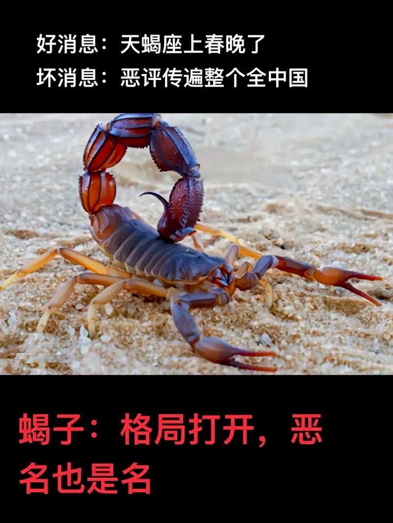 2025年蝎子价格会涨还是跌?-图3 2025年蝎子价格会涨还是跌?-图3