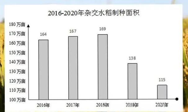 2025黒水稻价格会涨还是跌？-图1