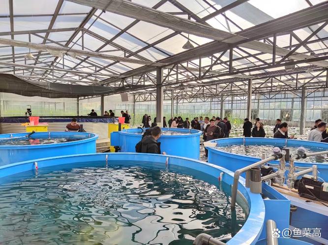 重庆甲鱼养殖技术培训-图3