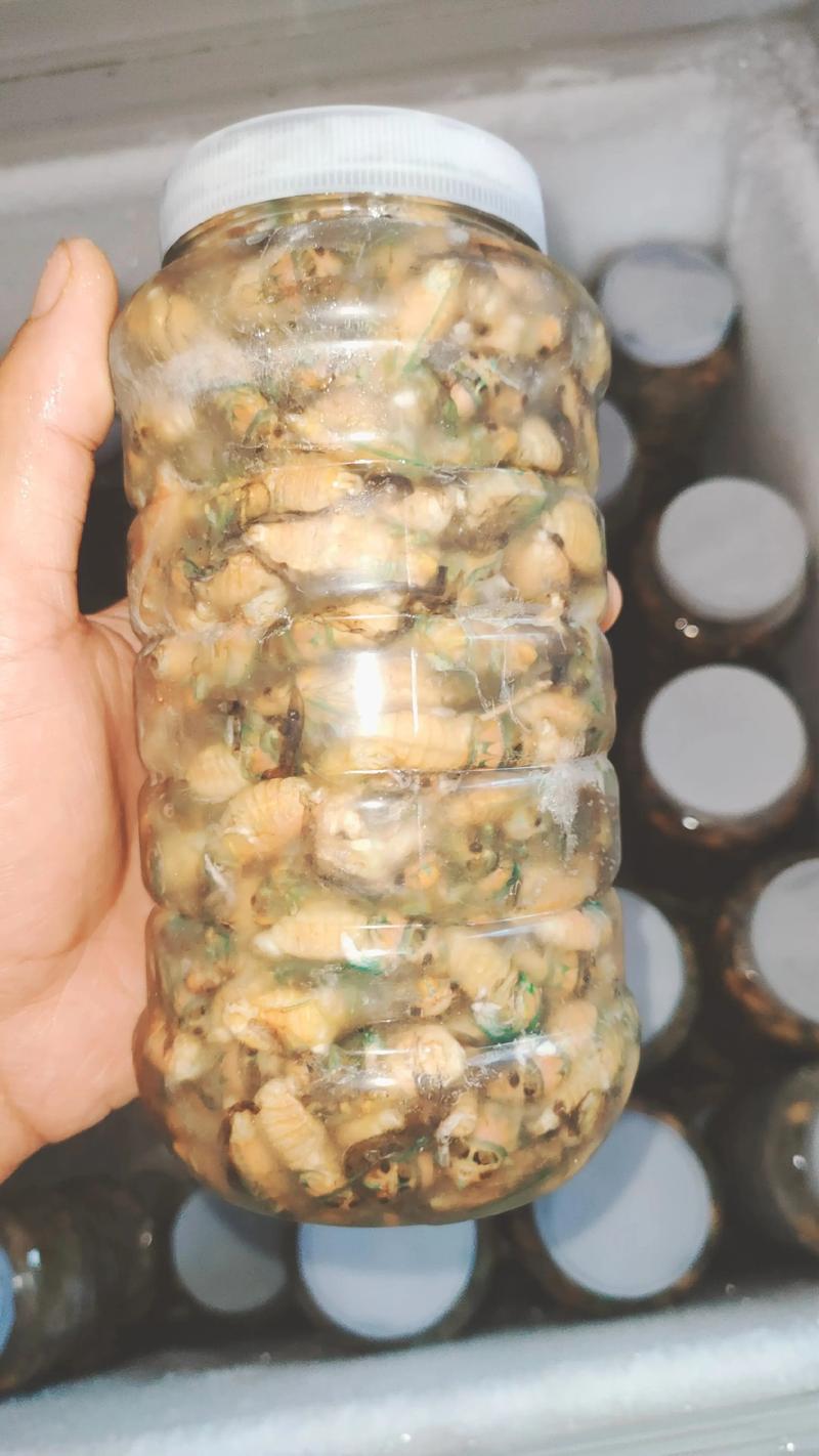 2025年知了猴皮价格-图2