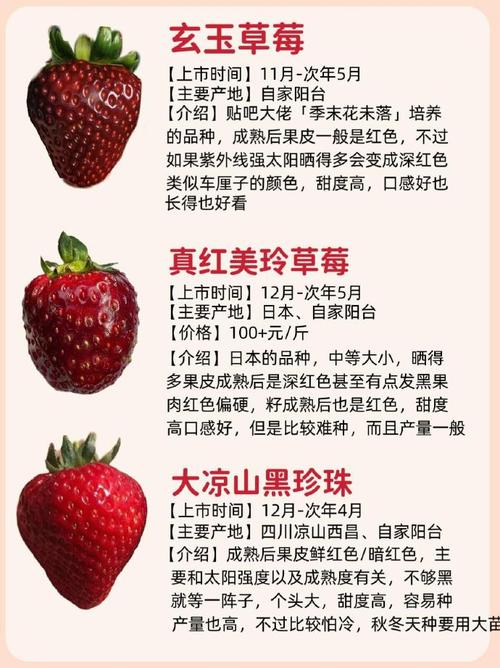 草莓一年结几次果品种-图3