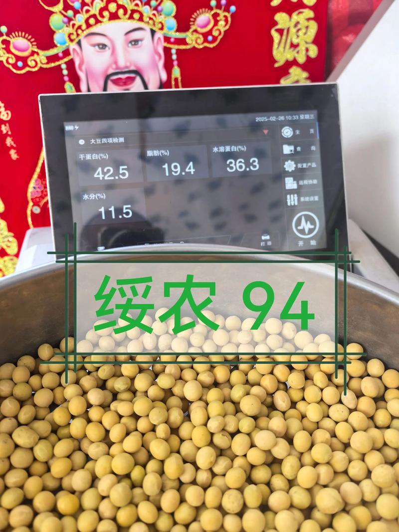 2025年哪些豆类价格会上涨?-图3 2025年哪些豆类价格会上涨?-图3