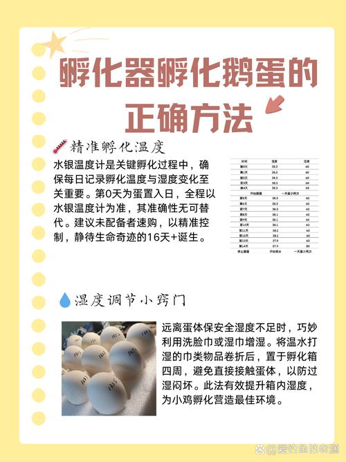 人工孵化鹅蛋技术大全-图1 人工孵化鹅蛋技术大全-图1