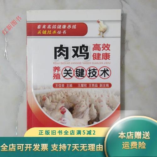 肉鸡高效饲养的关键技术有哪些?-图1 肉鸡高效饲养的关键技术有哪些?-图1