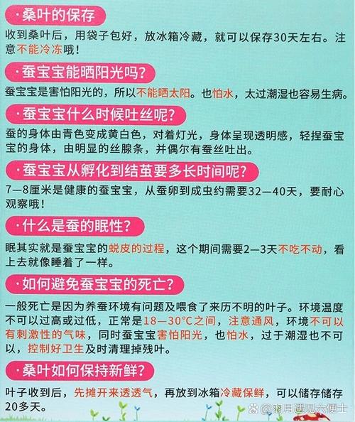 桑蚕养殖技术视频教程-图1