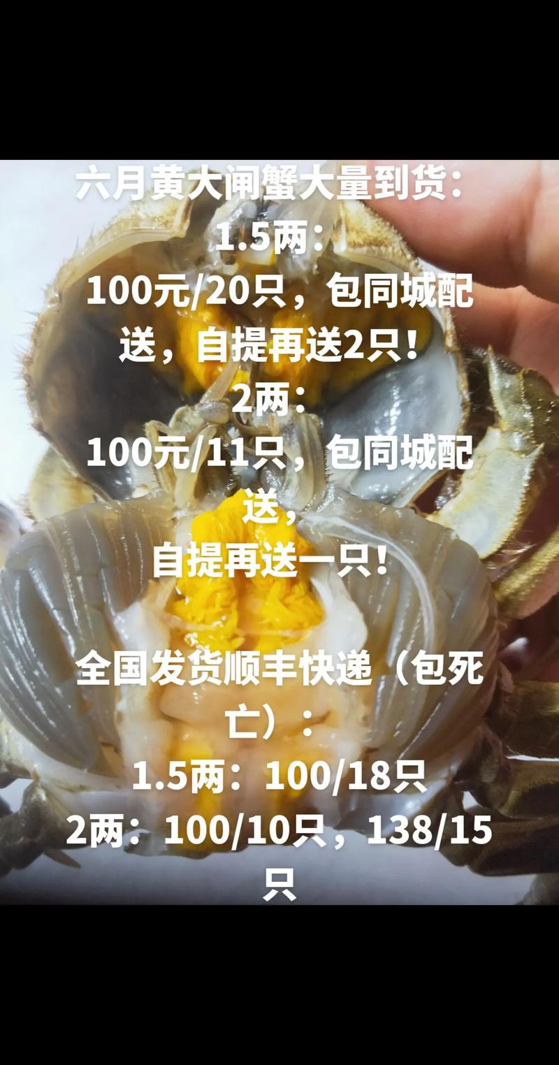 2025黄河大闸蟹价格会涨还是跌?-图3 2025黄河大闸蟹价格会涨还是跌?-图3