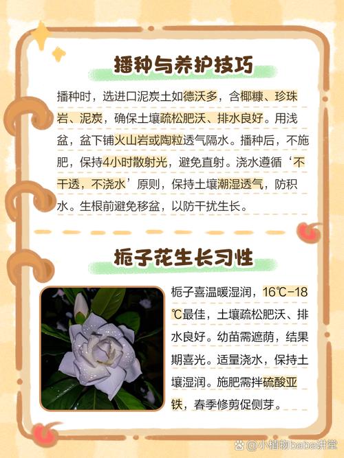 栀子花怎么培育新品种-图1 栀子花怎么培育新品种-图1