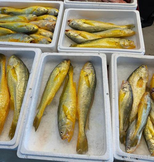 珠海海鱼批发市场有哪些品种?-图3 珠海海鱼批发市场有哪些品种?-图3