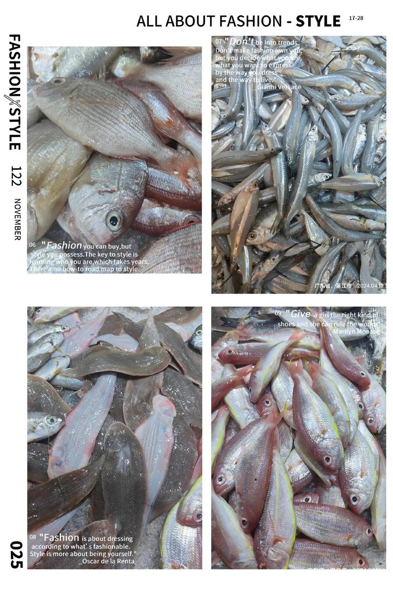 珠海海鱼批发市场有哪些品种?-图2 珠海海鱼批发市场有哪些品种?-图2