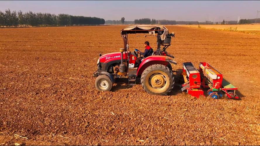 人工小麦种植技术视频,如何高效掌握核心要点?-图3 人工小麦种植技术视频,如何高效掌握核心要点?-图3