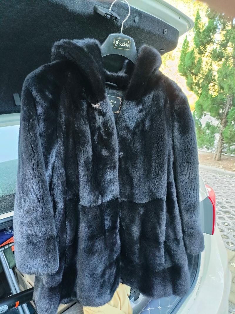 2025青岛貂皮价格会涨还是跌？-图3