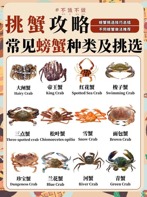 河蟹的养殖技术及方法-图1