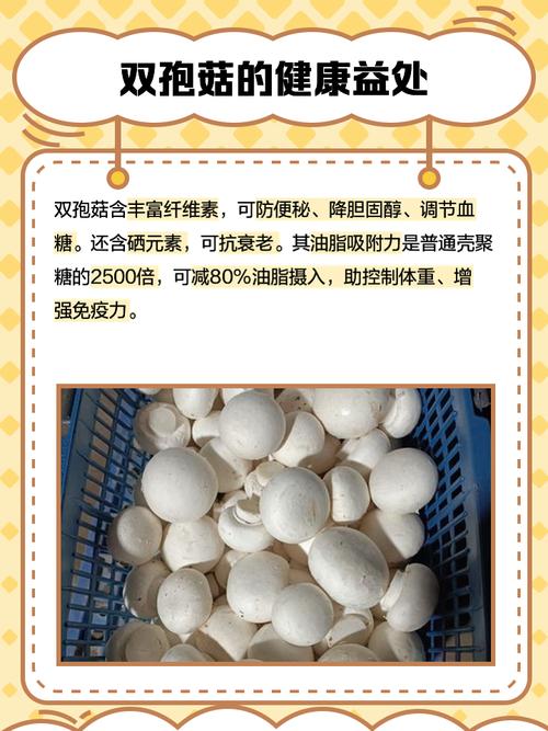 2025河南双孢菇价格会涨还是跌?-图1 2025河南双孢菇价格会涨还是跌?-图1