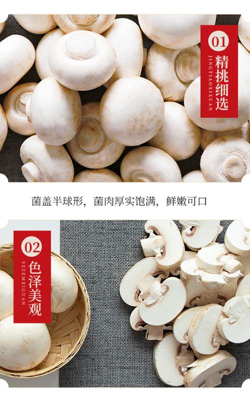 2025河南双孢菇价格会涨还是跌?-图2 2025河南双孢菇价格会涨还是跌?-图2
