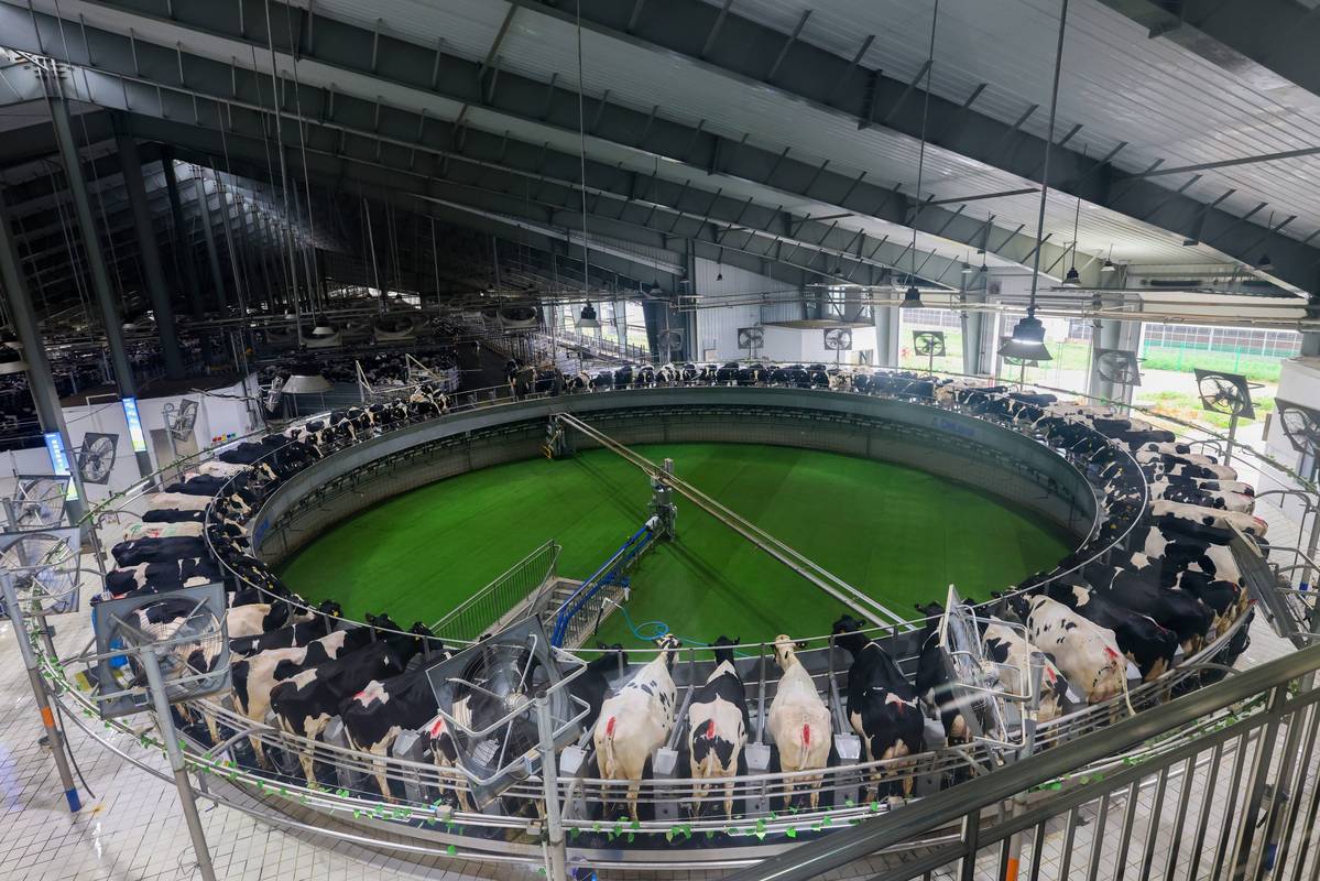 农业养殖技术官网视频-图1 农业养殖技术官网视频-图1