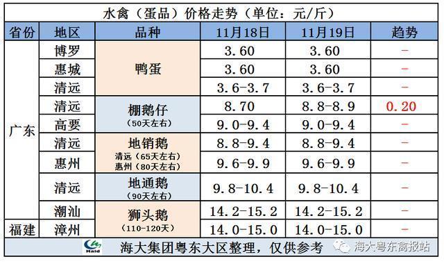 毛鸭价格 鸭苗价格行情-图2 毛鸭价格 鸭苗价格行情-图2