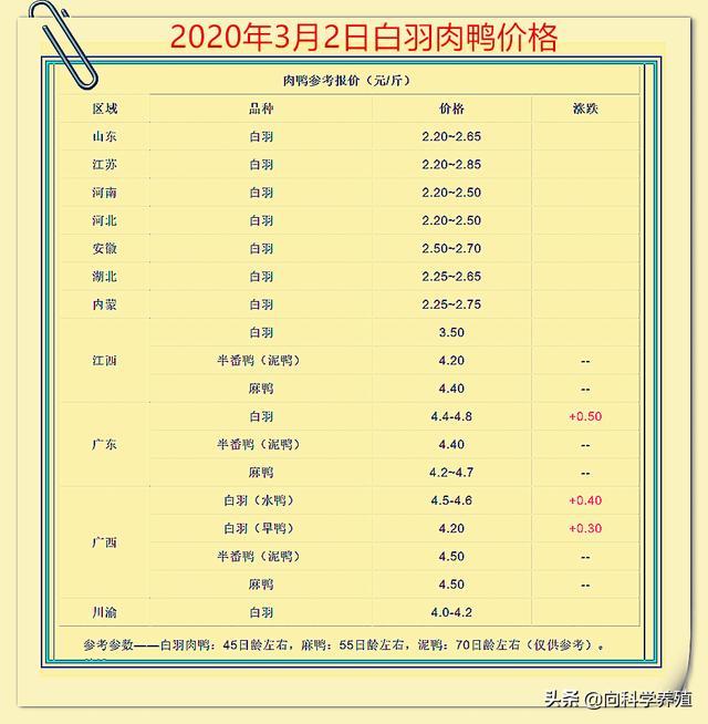 毛鸭价格 鸭苗价格行情-图3 毛鸭价格 鸭苗价格行情-图3