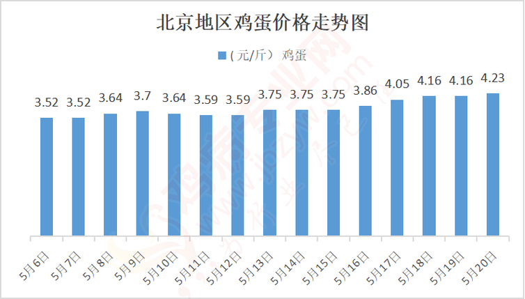 鸡蛋价格淘汰鸡价格行情-图1 鸡蛋价格淘汰鸡价格行情-图1