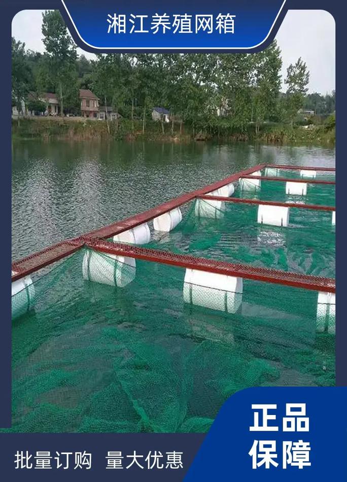 淡水鲈鱼网箱养殖技术-图3 淡水鲈鱼网箱养殖技术-图3