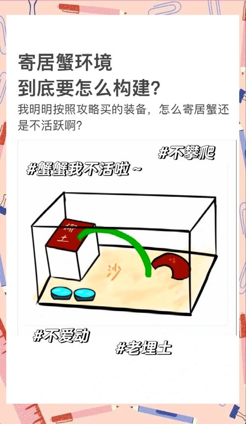 室内蟹养殖技术与方法-图3 室内蟹养殖技术与方法-图3