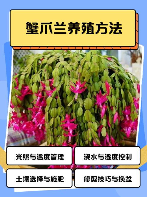 室内蟹养殖技术与方法-图2 室内蟹养殖技术与方法-图2