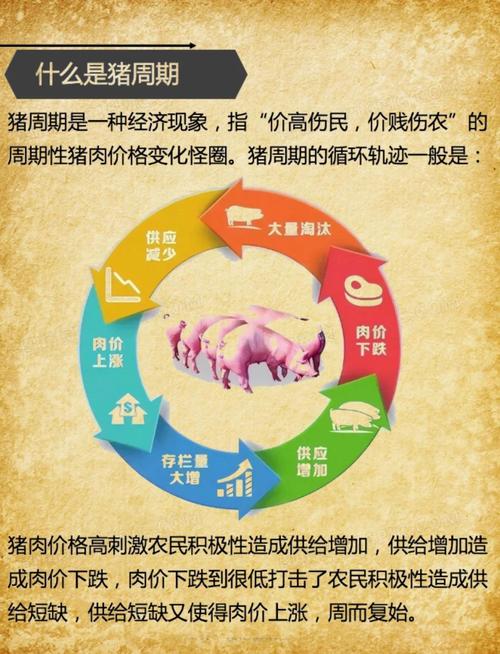 养殖肉驴投资技术分析-图2 养殖肉驴投资技术分析-图2