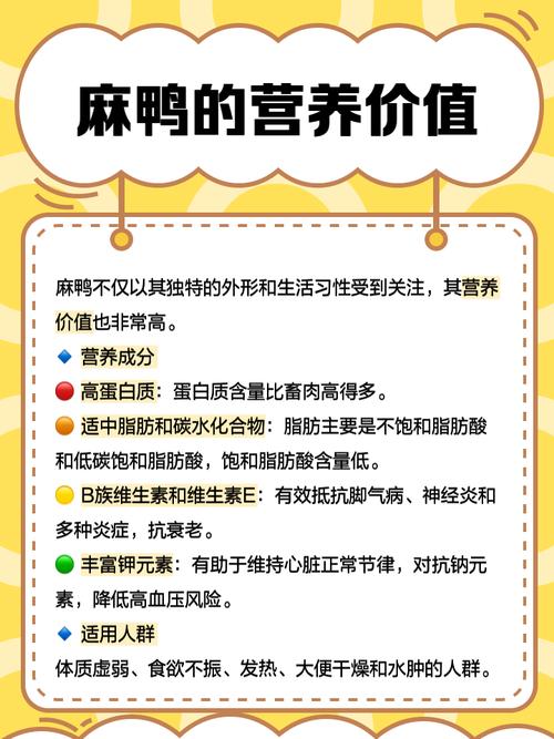 网上养肉鸭，技术要点有哪些？-图3