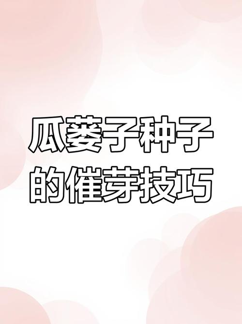 瓜蒌种植技术视频教程怎么学?-图3 瓜蒌种植技术视频教程怎么学?-图3