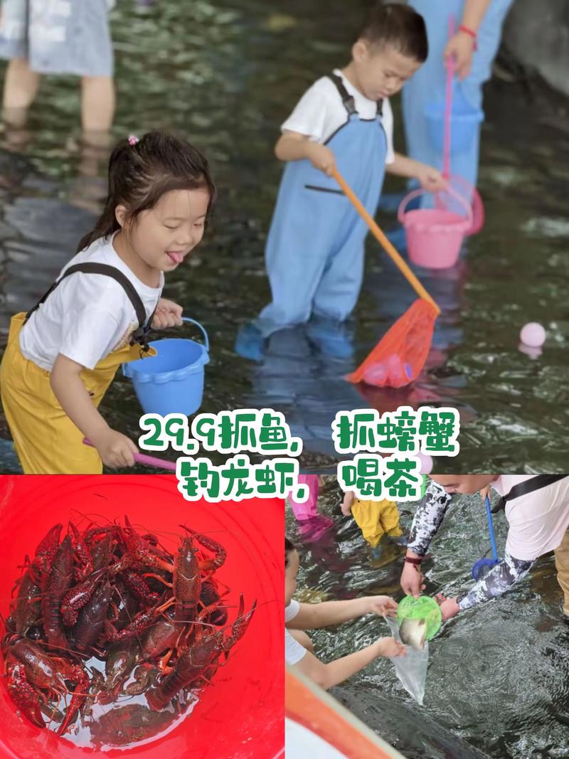 大闸蟹塘套养龙虾，技术要点有哪些？-图3