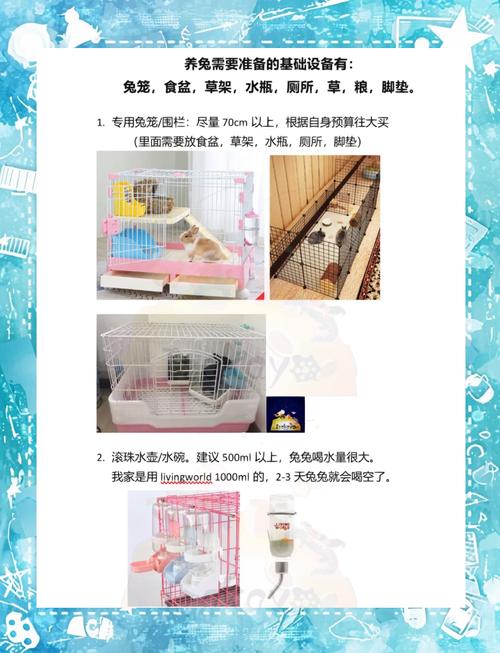 育肥兔养殖技术与管理关键点有哪些？-图2