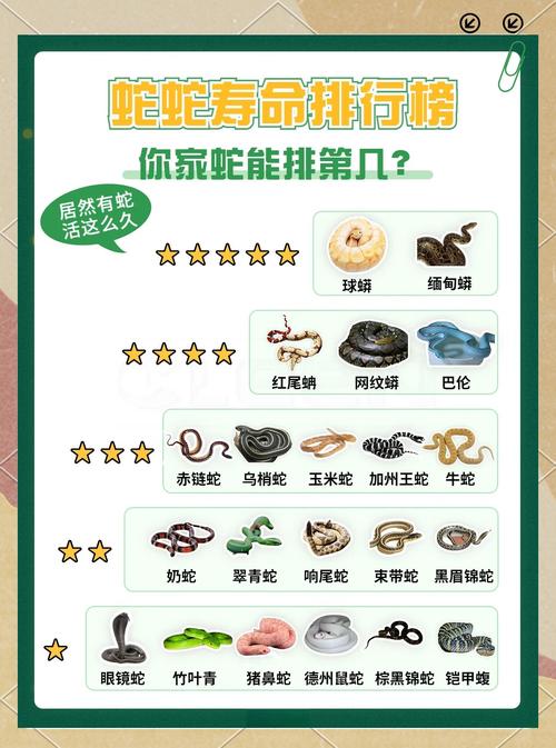 大王蛇无冬眠养殖技术可行吗?-图2 大王蛇无冬眠养殖技术可行吗?-图2