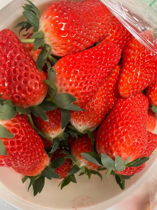 现在那种草莓品种最好-图3